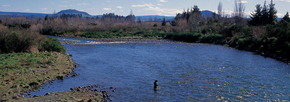 Lake Taupo is a great vacation destination in both summer and winter. Trout fishing is a major attraction