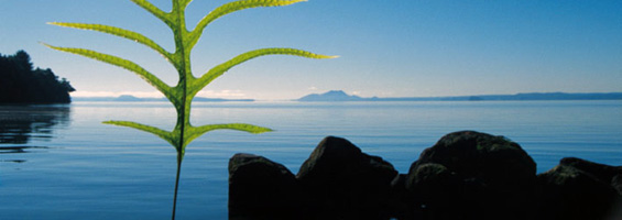 Lake Taupo is a great vacation destination in both summer and winter