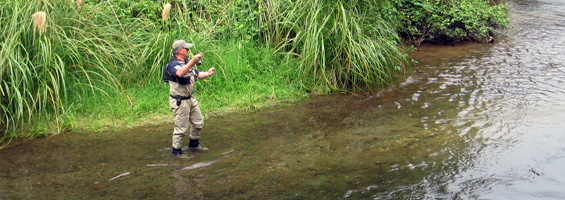 Stalk wild rainbows and browns who have real attitude and will fight you all the way
